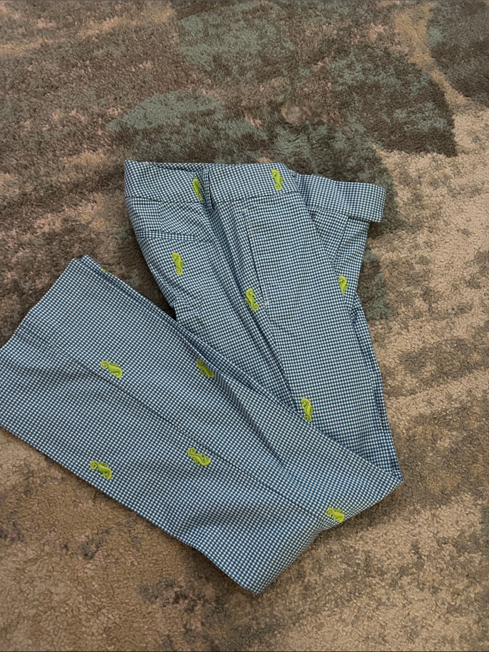 J Crew blue gingham seahorse pants 4P